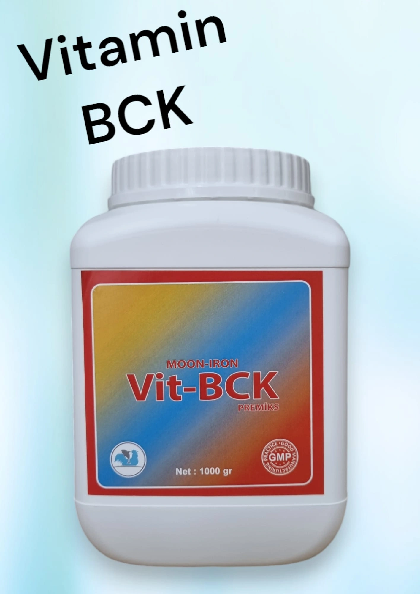 VİT-BCK