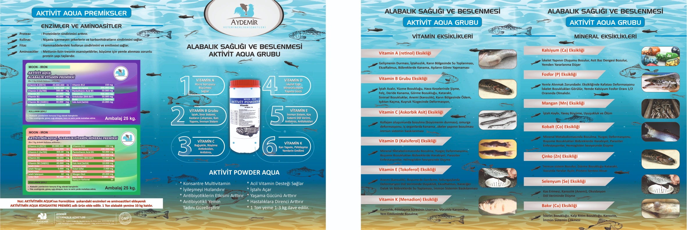 AKTİVİT POWER AQUA