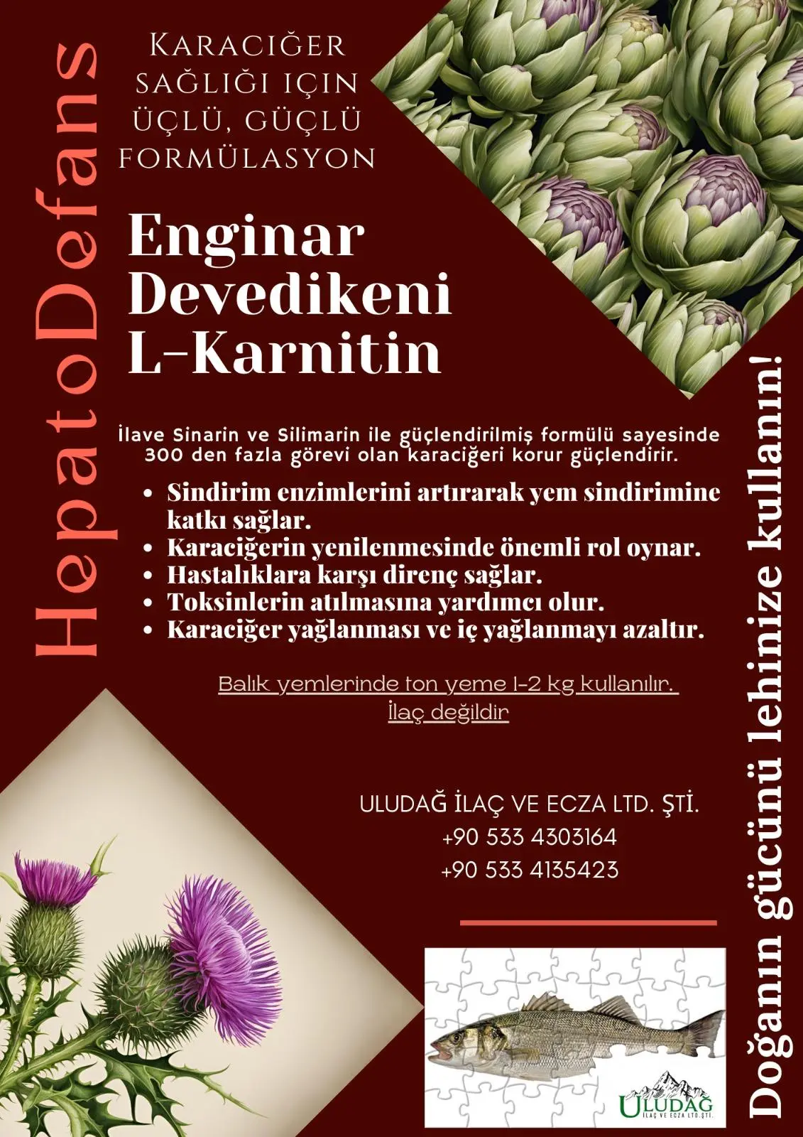 HEPATO DEFANS POWDER